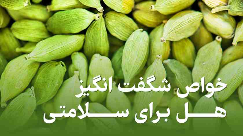 آیا می_دانید خواص هل چه شگفت_انگیزی هایی دارد؟